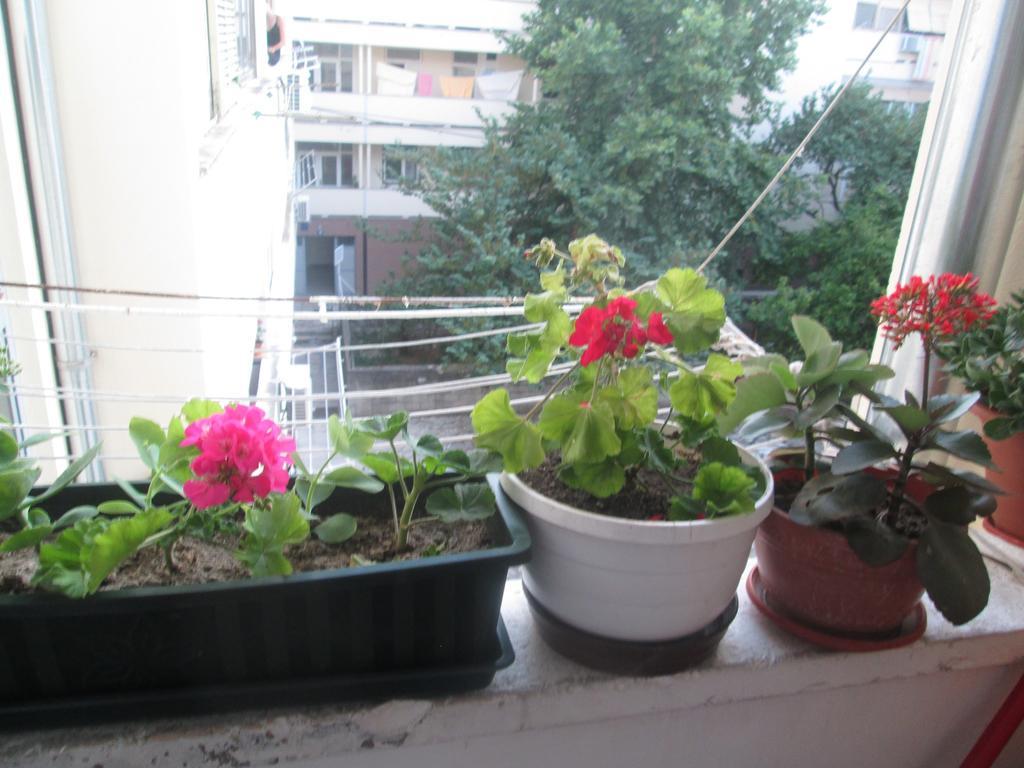 Guest House Marija Zadar Bagian luar foto